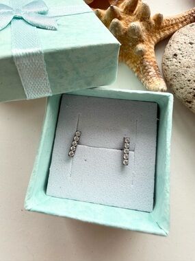 Pierced Universe Titanium Flat back Earrings